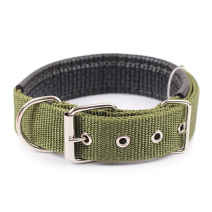 Dog Collar For Small And Big Dogs