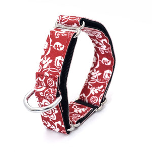 Dog Collar