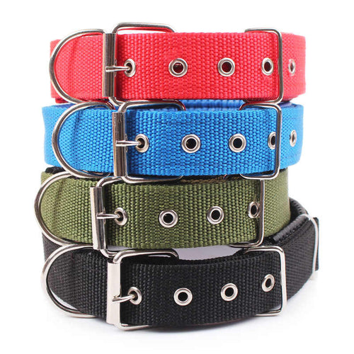 Dog Collar For Small And Big Dogs