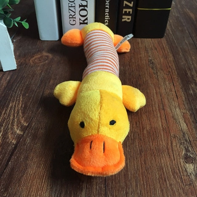 Popular Dog Toy