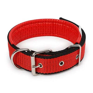 Dog Collar For Small And Big Dogs