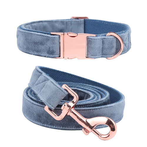 Dog Collar and Leash