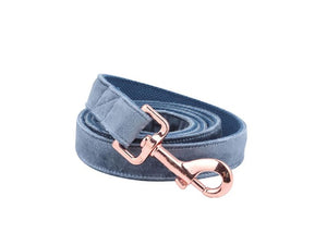 Dog Collar and Leash