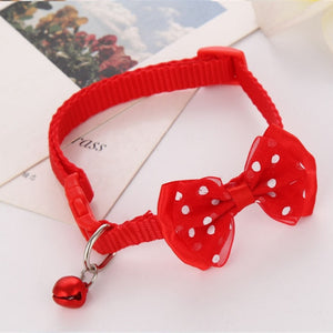 Cute Dog Collar