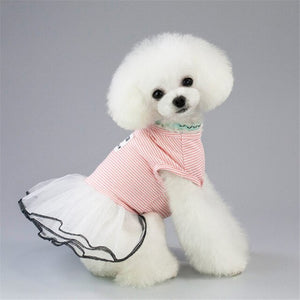 Skirts for Small Dog