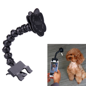 Dog Selfie Stick